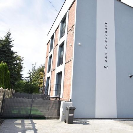 Katowice Chorzow Park Stadion Slaski Apartmenty Siemianowice Śląskie Eksteriør bilde